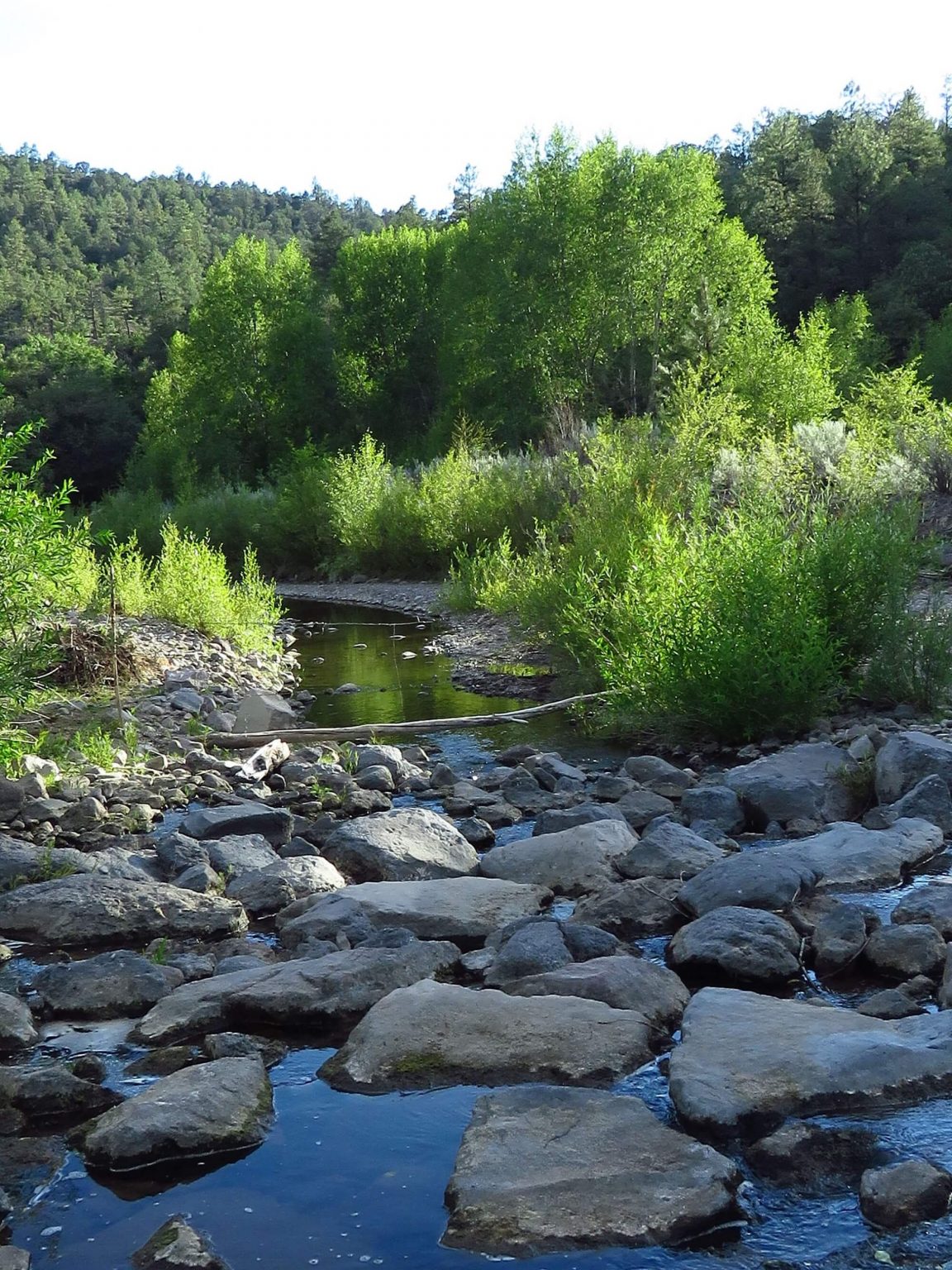 Arizona Rivers And Streams AZBW   Blue River 1 1152x1536 